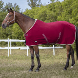 Produktbild von Equithème Polarfleece vielseitige Pferdedecke