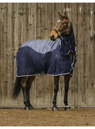 Equithème Regen- & Fliegendecke mit Halsteil 420D – Bild 1 von 5