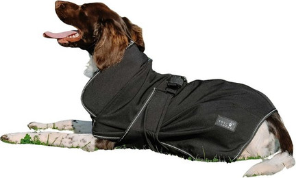 Produktbild von Equithème Softshell Hundedecke