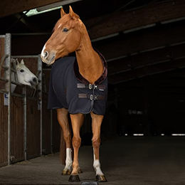 Produktbild von Equithème Teddy Polarfleecedecke