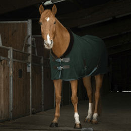 Produktbild von Equithème Teddy Polarfleecedecke