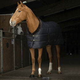 Produktbild von Equithème Teddy Stalldecke
