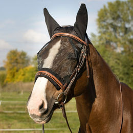 Produktbild von Equithème Training Antifliegenmaske