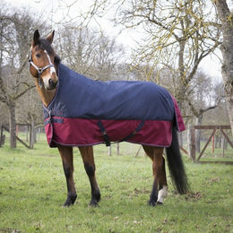 Produktbild von Equithème Tyrex 1200D 0g with High Neck - marineblau/bordeaux