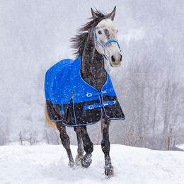 Produktbild von Equithème Tyrex 1200D Aisance High Neck Pferdedecke - 300 g