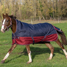 Produktbild von Equithème Tyrex 1200D High Neck Pferdedecke 300g
