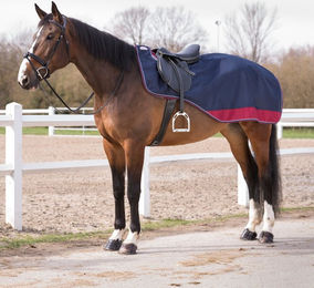 Produktbild von Equithème Tyrex 1200D Nierendecke