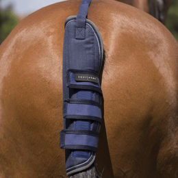 Produktbild von Equithème Tyrex 600 D Schwanzschutz für Pferde