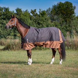 Produktbild von Equithème Tyrex 600D AISANCE 0g - grau/braun