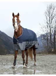 Equithème Tyrex 600D Belly Belt Pferdedecke marineblau/grau – Bild 1 von 5