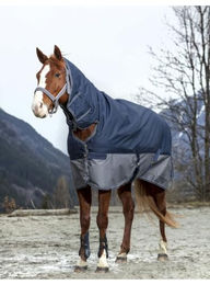 Equithème Tyrex 600D Combo Pferdedecke 200g – Bild 1 von 5