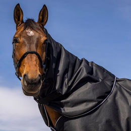 Produktbild von Equithème Tyrex 600D Halsteil 200g