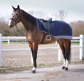 Equithème Tyrex 600D Nierendecke – Bild 1 von 5