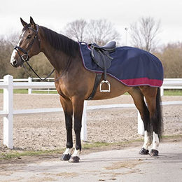 Equithème Tyrex 600D Nierendecke marineblau/grau – Bild 1 von 5