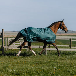Produktbild von Equithème Tyrex 600D Outdoor Decke 0g