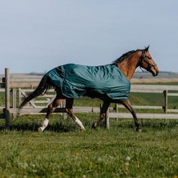 Produktbild von Equithème Tyrex 600D Outdoor Decke 0g