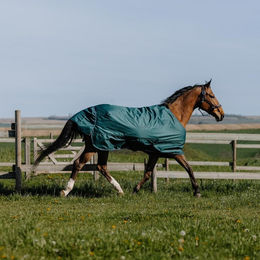 Produktbild von Equithème Tyrex 600D Outdoor Pferdedecke 150g - 150 g