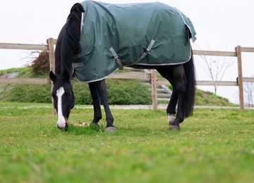 Equithème Tyrex 600D recycelte Outdoordecke – Bild 1 von 7