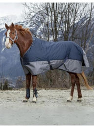 Equithème Tyrex 600D Weidedecke 300g marineblau/grau – Bild 1 von 3