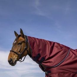 Produktbild von Equithème Tyrex Aisance 1200D Halsteil 200g