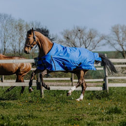 Produktbild von Equithème Tyrex Aisance 1200D Outdoor Decke 300g