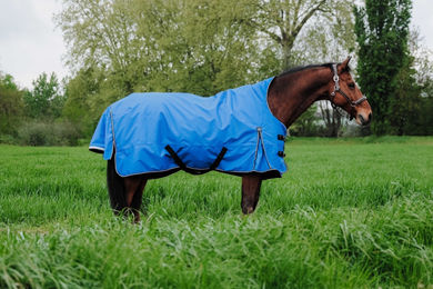 Produktbild von Equithème Tyrex Aisance 1200D Outdoor Pferdedecke High Neck 150g