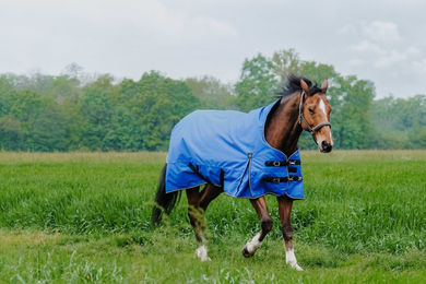 Produktbild von Equithème Tyrex Aisance 1200D Outdoor Pferdedecke High Neck 50g