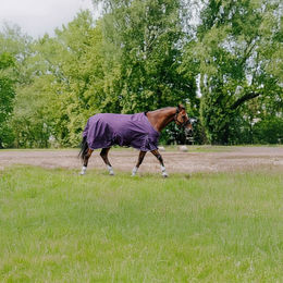 Produktbild von Equithème Tyrex Aisance 600D Outdoor Decke 0g