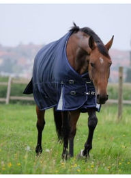 Equithème Weidedecke mit abnehmbarem Halsteil 1680D 220g – Bild 1 von 2