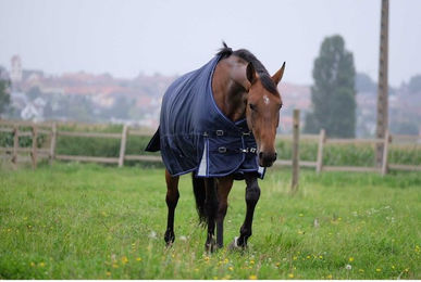 Produktbild von Equithème Weidedecke mit abnehmbarem Halsteil 1680D 220g