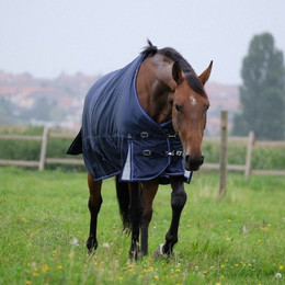 Produktbild von Equithème Weidedecke mit abnehmbarem Halsteil 1680D 220g