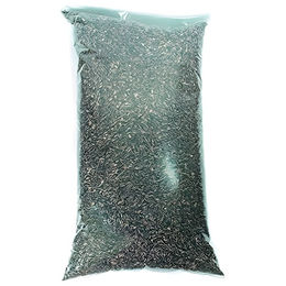 Erdtmann's Sonnenblumenkerne 25 kg – Bild 1 von 8