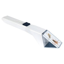 Erdtmanns Insekten-Snappy – Bild 1 von 5