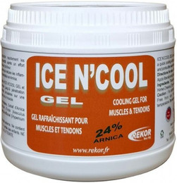 Produktbild von Erfrischendes Arnika-Gel nach der Anstrengung Pferd Rekor IceN'Cool gel