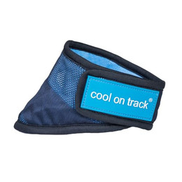 Produktbild von Erfrischendes Hunde-Bandana Back on Track Cool