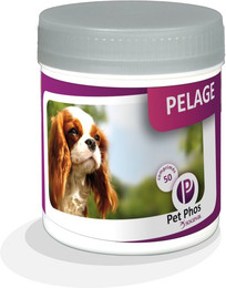 Produktbild von Ergänzungsfutter für die Fellqualität von Hunden Ceva Pet-phos