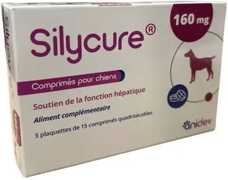 Produktbild von Ergänzungsfutter für Hunde Anidev Silycure