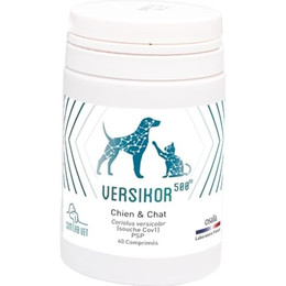 Produktbild von Ergänzungsfutter für Hunde und Katzen Osalia Versikor 500 (x60)