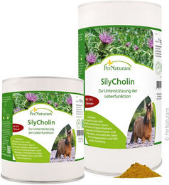 Ergänzungsfutter SilyCholin – Bild 1 von 2