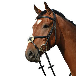 Erhöhte gepolsterte Reitzäume in Form von 8 Weatherbeeta Collegiate Syntovia+ – Bild 1 von 2