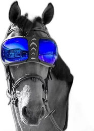 Produktbild von Ersatzgläser Brille Pferd eQuick eVysor