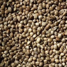 Produktbild von Ersatztür für Katzenstreu Ebi Eclipse/Prism 70