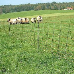 Ersatzzaunpfahl mit doppelter Spitze Ako Premium – Bild 1 von 2