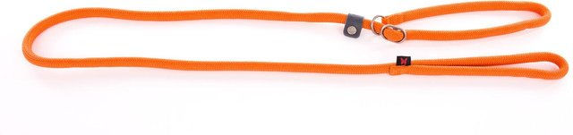 Produktbild von Erziehungsleine für Hunde klassisch Nylon Martin Sellier