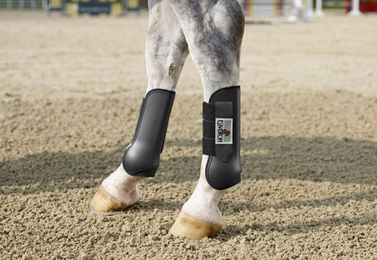 Produktbild von Eskadron 2er Set Gamaschen Protection Boots high hinten Navy