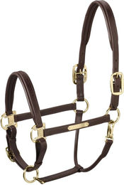 Produktbild von Eskadron Basic Leather Elegance Halfter