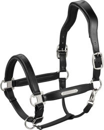 Produktbild von Eskadron Basic Leather Stallion Halfter