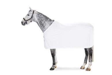 Produktbild von Eskadron Basics Abschwitzdecke Fleece