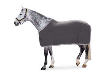 Produktbild von Eskadron Basics Abschwitzdecke Fleece