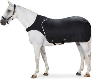 Produktbild von Eskadron Basics Führmaschinendecke Delta 150g - Black